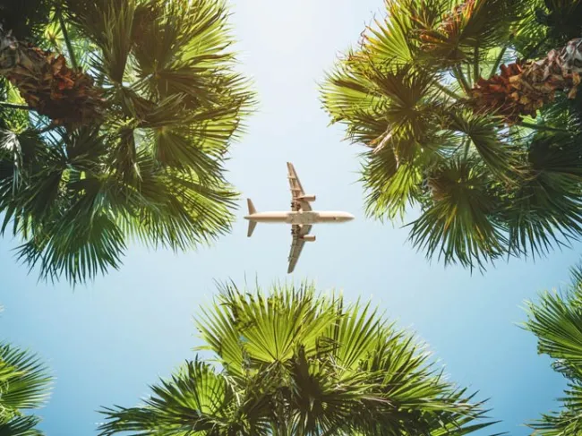 plane over palms